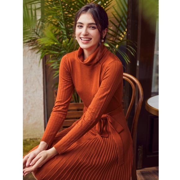 Pumpkin Orange Turtleneck Knit Belted Dress - Picture 5 of 16